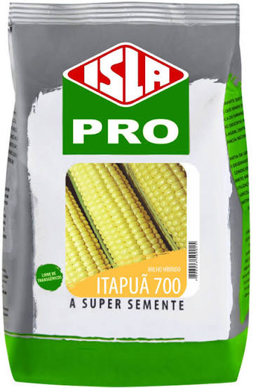 SEMENTE 509.12 MILHO HIBRIDO ITAPUA 700 1KG